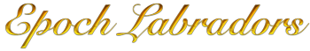 Epoch Labradors Logo